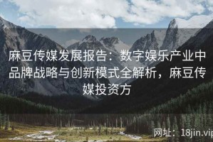 麻豆传媒发展报告：数字娱乐产业中品牌战略与创新模式全解析，麻豆传媒投资方