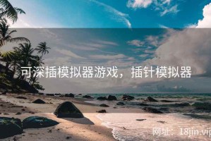 可深插模拟器游戏，插针模拟器