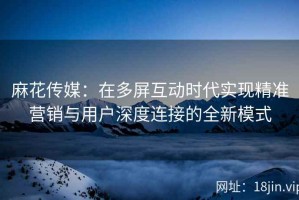 麻花传媒：在多屏互动时代实现精准营销与用户深度连接的全新模式