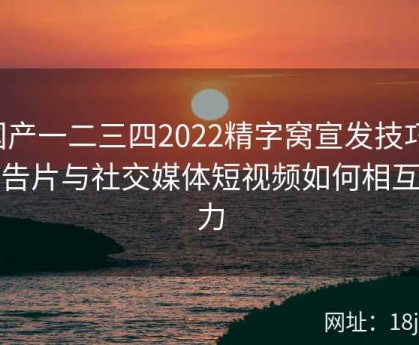 国产一二三四2022精字窝宣发技巧：预告片与社交媒体短视频如何相互助力