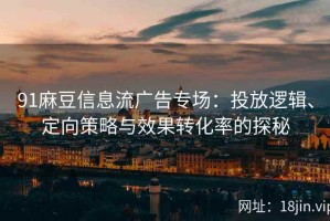91麻豆信息流广告专场：投放逻辑、定向策略与效果转化率的探秘