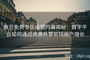 麻豆免费专区运营内幕揭秘：数字平台如何通过资源共享实现用户增长