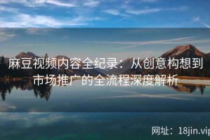 麻豆视频内容全纪录：从创意构想到市场推广的全流程深度解析