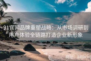 91官网品牌重塑战略：从市场调研到用户体验全链路打造企业新形象
