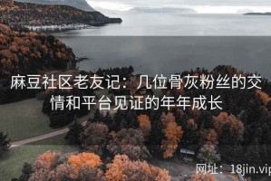 麻豆社区老友记：几位骨灰粉丝的交情和平台见证的年年成长