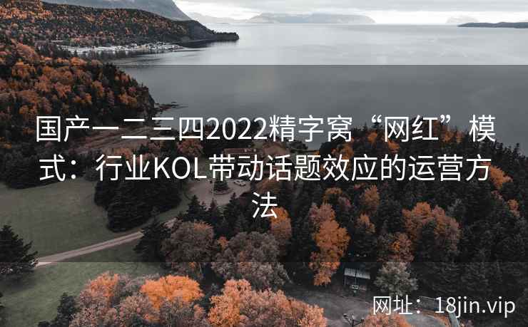 国产一二三四2022精字窝“网红”模式：行业KOL带动话题效应的运营方法