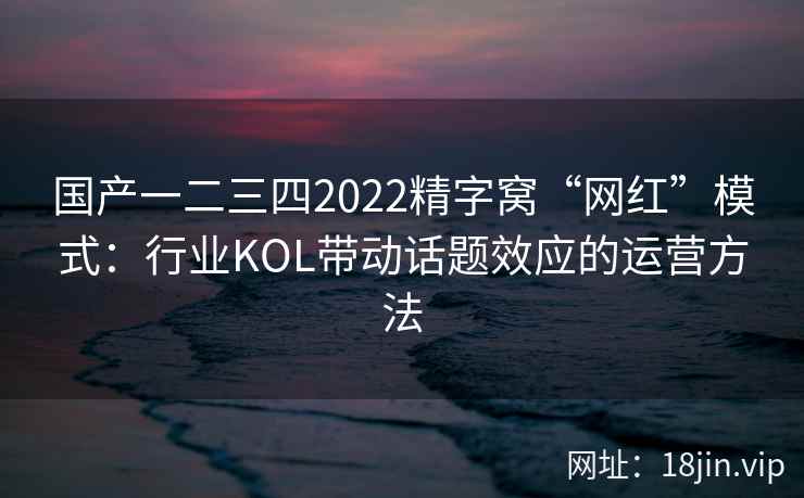 国产一二三四2022精字窝“网红”模式：行业KOL带动话题效应的运营方法