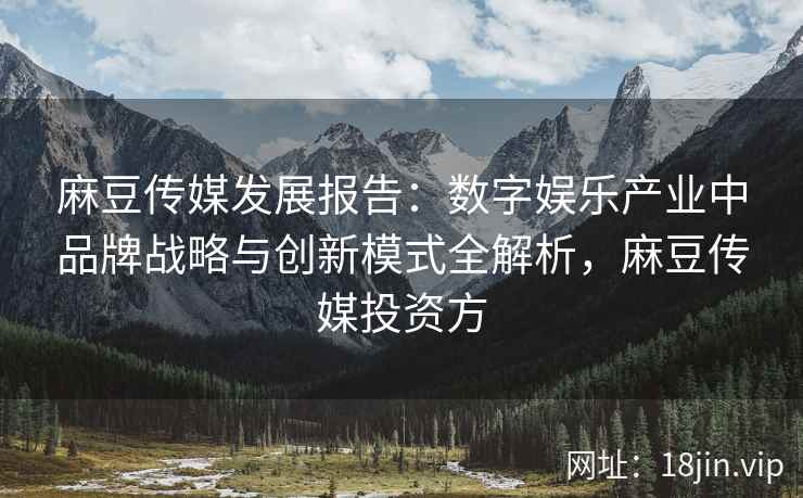麻豆传媒发展报告：数字娱乐产业中品牌战略与创新模式全解析，麻豆传媒投资方