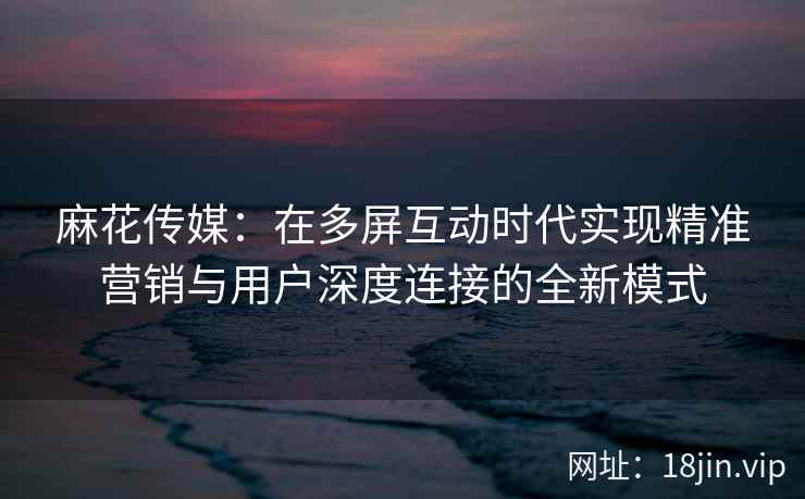 麻花传媒：在多屏互动时代实现精准营销与用户深度连接的全新模式