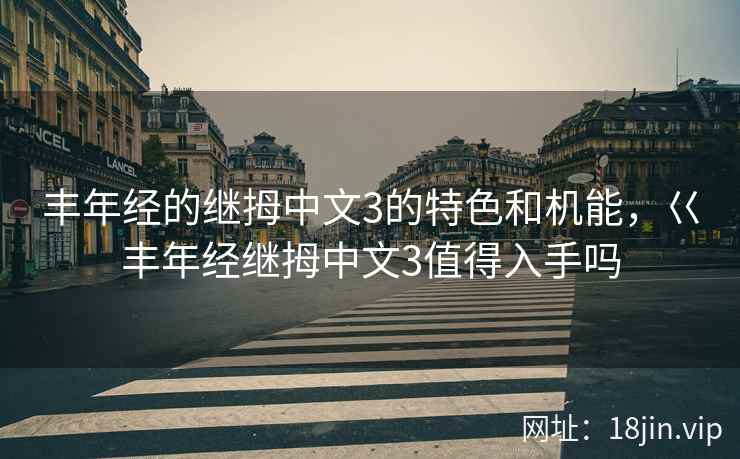 丰年经的继拇中文3的特色和机能，巜丰年经继拇中文3值得入手吗