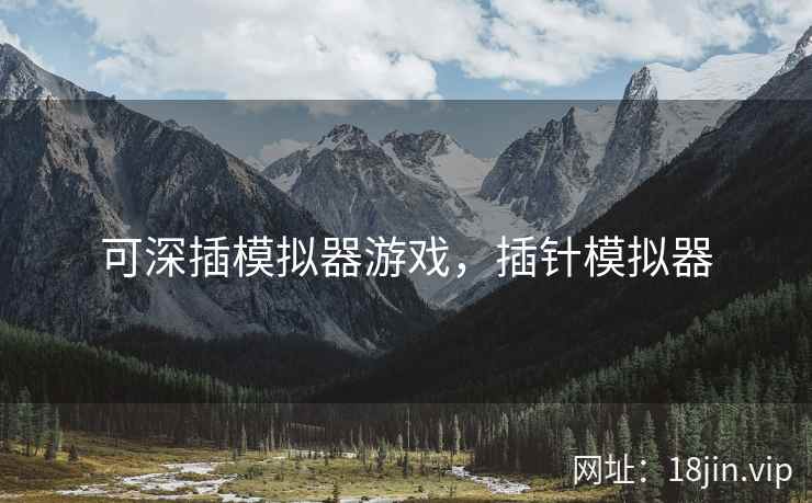 可深插模拟器游戏，插针模拟器