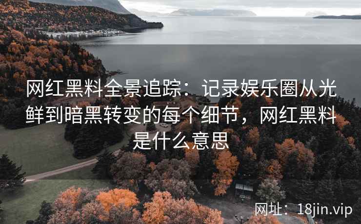网红黑料全景追踪：记录娱乐圈从光鲜到暗黑转变的每个细节，网红黑料是什么意思
