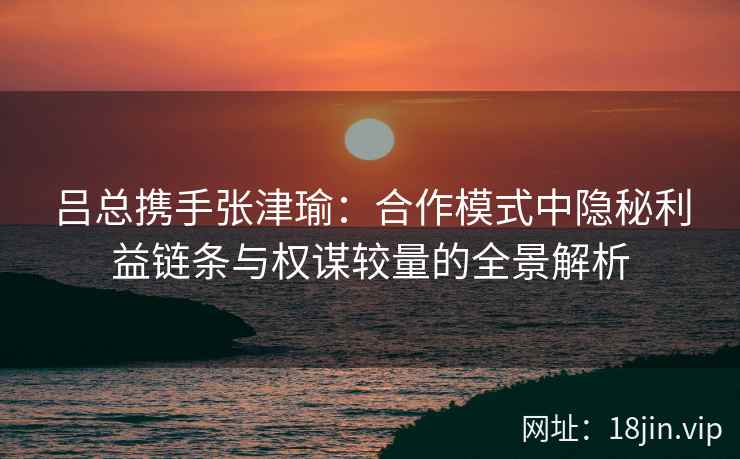 吕总携手张津瑜：合作模式中隐秘利益链条与权谋较量的全景解析